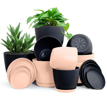 Fast Forward Premium Set of 10 Indoor Plant Pots with Drainage