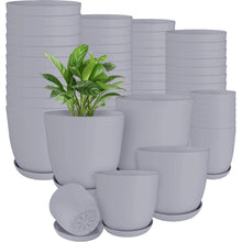 60-Pack Versatile White Plastic Plant Pots with Drainage – Perfect for Indoor Plants, Cacti, Succulents & More!