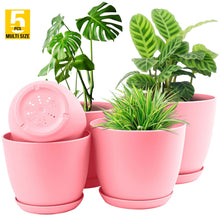 Plant Pots Indoor with Drainage - Pack of 5 Decorative Flower Pots for Indoor Plants without plants Fast Forward