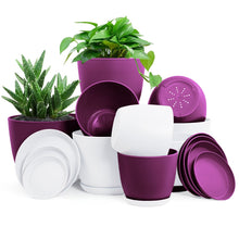 Fast Forward: Premium Set of 10 Indoor Plant Pots with Drainage Decorative Plastic Planters for Indoor Fast Forward