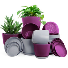 Fast Forward: Premium Set of 10 Indoor Plant Pots with Drainage Decorative Plastic Planters for Indoor Fast Forward