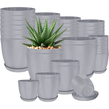 40-Pack Versatile White Plastic Plant Pots with Drainage – Perfect for Indoor Plants, Cacti, Succulents & More!