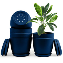 Enhance Your Space with Fast Forward Extra Large Plant Pots – Perfect Home Decor for Indoor and Outdoor Planters with Drainage - Explore Multi-Packs of Plastic Planters for Cactus and Succulents in Six Vibrant Colors Fast Forward