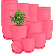 60-Pack Versatile White Plastic Plant Pots with Drainage – Perfect for Indoor Plants, Cacti, Succulents & More!