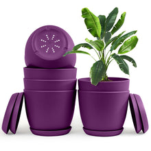 Enhance Your Space with Fast Forward Extra Large Plant Pots – Perfect Home Decor for Indoor and Outdoor Planters with Drainage - Explore Multi-Packs of Plastic Planters for Cactus and Succulents in Six Vibrant Colors Fast Forward