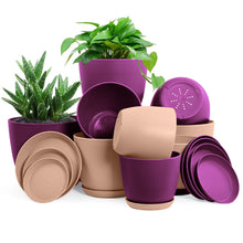 Fast Forward: Premium Set of 10 Indoor Plant Pots with Drainage Decorative Plastic Planters for Indoor Fast Forward