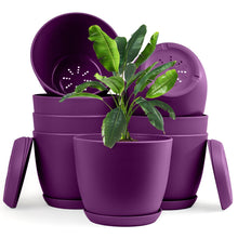 Enhance Your Space with Fast Forward Extra Large Plant Pots – Perfect Home Decor for Indoor and Outdoor Planters with Drainage - Explore Multi-Packs of Plastic Planters for Cactus and Succulents in Six Vibrant Colors Fast Forward