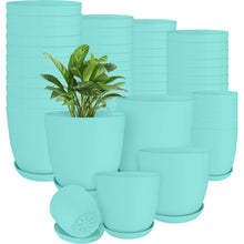 60-Pack Versatile White Plastic Plant Pots with Drainage – Perfect for Indoor Plants, Cacti, Succulents & More!