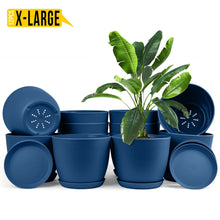 Enhance Your Space with Fast Forward Extra Large Plant Pots – Perfect Home Decor for Indoor and Outdoor Planters with Drainage - Explore Multi-Packs of Plastic Planters for Cactus and Succulents in Six Vibrant Colors Fast Forward