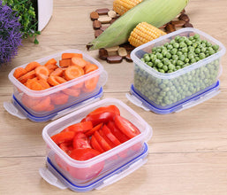 Plastic Food Containers set 3 Containers and 3 Lids Food Storage Containers with Airtight Lids Fast Forward