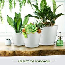 Fast Forward Premium Set of 10 Indoor Plant Pots with Drainage