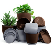 Fast Forward Premium Set of 10 Indoor Plant Pots with Drainage