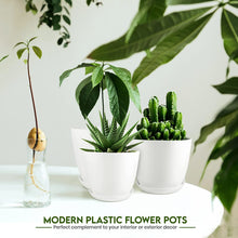 Fast Forward Premium Set of 10 Indoor Plant Pots with Drainage