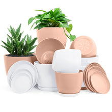 Fast Forward Premium Set of 10 Indoor Plant Pots with Drainage