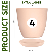 badgeElevate Your Space with Fast Forward Extra Large Plant Pots: Two Vibrant Colors, Drainage, Perfect for Indoor Planters - Explore Multi-Packs for Plastic Planters, Cactus, and Succulents Decor Fast Forward