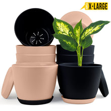 Fast Forward Extra Large Plant Pots with Drainage: Two Vibrant Colors, Ideal for Indoor Planters - Explore Multi-Packs for Plastic Planters, Cactus, and Succulents Pot Deco Fast Forward