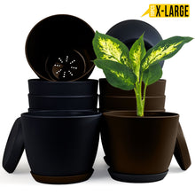 badgeElevate Your Space with Fast Forward Extra Large Plant Pots: Two Vibrant Colors, Drainage, Perfect for Indoor Planters - Explore Multi-Packs for Plastic Planters, Cactus, and Succulents Decor Fast Forward