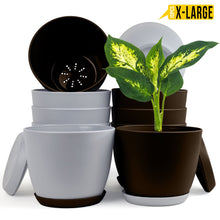 badgeElevate Your Space with Fast Forward Extra Large Plant Pots: Two Vibrant Colors, Drainage, Perfect for Indoor Planters - Explore Multi-Packs for Plastic Planters, Cactus, and Succulents Decor Fast Forward