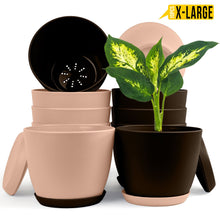 badgeElevate Your Space with Fast Forward Extra Large Plant Pots: Two Vibrant Colors, Drainage, Perfect for Indoor Planters - Explore Multi-Packs for Plastic Planters, Cactus, and Succulents Decor Fast Forward