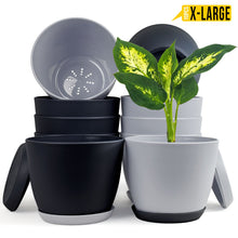 Revitalize Your Space with Fast Forward Extra Large Plant Pots: Two Vibrant Colors, Drainage, Ideal for Indoor Planters - Explore Multi-Packs for Plastic Planters, Cactus, and Succulents Decor Fast Forward