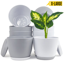 Fast Forward Extra Large Plant Pots with Drainage: Stylish Home Decor Flower Pots in Two Vibrant Colors - Ideal for Indoor Planters, Multi-Packs for Plastic Planters, Cactus, and Succulents Fast Forward