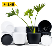 Fast Forward Extra Large Plant Pots with Drainage: Two Vibrant Colors, Ideal for Indoor Planters - Explore Multi-Packs for Plastic Planters, Cactus, and Succulents Pot Deco Fast Forward