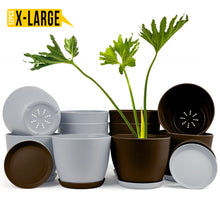 Elevate Your Space with Fast Forward Extra Large Plant Pots: Two Vibrant Colors, Drainage, Perfect for Indoor Planters - Explore Multi-Packs for Plastic Planters, Cactus, and Succulents Decor Fast Forward