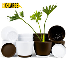 Elevate Your Space with Fast Forward Extra Large Plant Pots: Two Vibrant Colors, Drainage, Perfect for Indoor Planters - Explore Multi-Packs for Plastic Planters, Cactus, and Succulents Decor Fast Forward