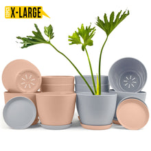 Revitalize Your Space with Fast Forward Extra Large Plant Pots: Two Vibrant Colors, Drainage, Ideal for Indoor Planters - Explore Multi-Packs for Plastic Planters, Cactus, and Succulents Decor Fast Forward