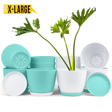 Fast Forward Extra Large Plant Pots with Drainage: Stylish Home Decor Flower Pots in Two Vibrant Colors - Ideal for Indoor Planters, Multi-Packs for Plastic Planters, Cactus, and Succulents Fast Forward