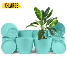 Enhance Your Space with Fast Forward Extra Large Plant Pots – Perfect Home Decor for Indoor and Outdoor Planters with Drainage - Explore Multi-Packs of Plastic Planters for Cactus and Succulents in Six Vibrant Colors Fast Forward