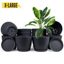 Enhance Your Space with Fast Forward Extra Large Plant Pots – Perfect Home Decor for Indoor and Outdoor Planters with Drainage - Explore Multi-Packs of Plastic Planters for Cactus and Succulents in Six Vibrant Colors Fast Forward