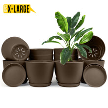 Enhance Your Space with Fast Forward Extra Large Plant Pots – Perfect Home Decor for Indoor and Outdoor Planters with Drainage - Explore Multi-Packs of Plastic Planters for Cactus and Succulents in Six Vibrant Colors Fast Forward