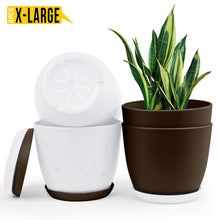 badgeElevate Your Space with Fast Forward Extra Large Plant Pots: Two Vibrant Colors, Drainage, Perfect for Indoor Planters - Explore Multi-Packs for Plastic Planters, Cactus, and Succulents Decor Fast Forward