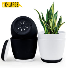 Fast Forward Extra Large Plant Pots with Drainage: Stylish Home Decor Flower Pots in Two Vibrant Colors - Ideal for Indoor Planters, Multi-Packs for Plastic Planters, Cactus, and Succulents Fast Forward