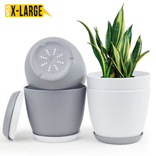 Fast Forward Extra Large Plant Pots with Drainage: Stylish Home Decor Flower Pots in Two Vibrant Colors - Ideal for Indoor Planters, Multi-Packs for Plastic Planters, Cactus, and Succulents Fast Forward