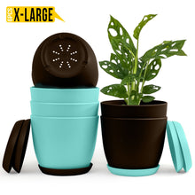 badgeElevate Your Space with Fast Forward Extra Large Plant Pots: Two Vibrant Colors, Drainage, Perfect for Indoor Planters - Explore Multi-Packs for Plastic Planters, Cactus, and Succulents Decor Fast Forward