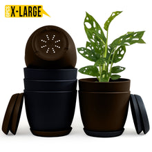 badgeElevate Your Space with Fast Forward Extra Large Plant Pots: Two Vibrant Colors, Drainage, Perfect for Indoor Planters - Explore Multi-Packs for Plastic Planters, Cactus, and Succulents Decor Fast Forward