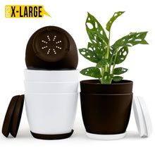 badgeElevate Your Space with Fast Forward Extra Large Plant Pots: Two Vibrant Colors, Drainage, Perfect for Indoor Planters - Explore Multi-Packs for Plastic Planters, Cactus, and Succulents Decor Fast Forward