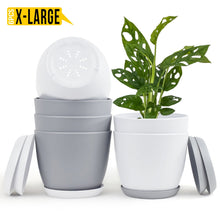 Fast Forward Extra Large Plant Pots with Drainage: Stylish Home Decor Flower Pots in Two Vibrant Colors - Ideal for Indoor Planters, Multi-Packs for Plastic Planters, Cactus, and Succulents Fast Forward