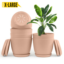 Enhance Your Space with Fast Forward Extra Large Plant Pots – Perfect Home Decor for Indoor and Outdoor Planters with Drainage - Explore Multi-Packs of Plastic Planters for Cactus and Succulents in Six Vibrant Colors Fast Forward