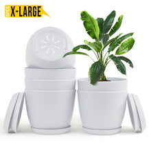 Enhance Your Space with Fast Forward Extra Large Plant Pots – Perfect Home Decor for Indoor and Outdoor Planters with Drainage - Explore Multi-Packs of Plastic Planters for Cactus and Succulents in Six Vibrant Colors Fast Forward