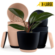 Fast Forward Extra Large Plant Pots with Drainage: Two Vibrant Colors, Ideal for Indoor Planters - Explore Multi-Packs for Plastic Planters, Cactus, and Succulents Pot Deco Fast Forward