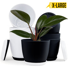 Fast Forward Extra Large Plant Pots with Drainage: Two Vibrant Colors, Ideal for Indoor Planters - Explore Multi-Packs for Plastic Planters, Cactus, and Succulents Pot Deco Fast Forward