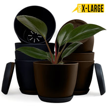 badgeElevate Your Space with Fast Forward Extra Large Plant Pots: Two Vibrant Colors, Drainage, Perfect for Indoor Planters - Explore Multi-Packs for Plastic Planters, Cactus, and Succulents Decor Fast Forward