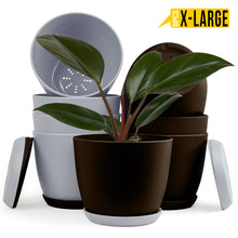 badgeElevate Your Space with Fast Forward Extra Large Plant Pots: Two Vibrant Colors, Drainage, Perfect for Indoor Planters - Explore Multi-Packs for Plastic Planters, Cactus, and Succulents Decor Fast Forward