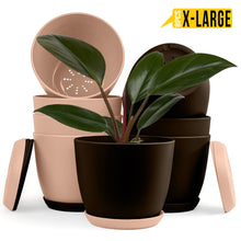 badgeElevate Your Space with Fast Forward Extra Large Plant Pots: Two Vibrant Colors, Drainage, Perfect for Indoor Planters - Explore Multi-Packs for Plastic Planters, Cactus, and Succulents Decor Fast Forward