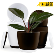 badgeElevate Your Space with Fast Forward Extra Large Plant Pots: Two Vibrant Colors, Drainage, Perfect for Indoor Planters - Explore Multi-Packs for Plastic Planters, Cactus, and Succulents Decor Fast Forward