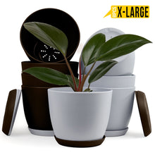 Revitalize Your Space with Fast Forward Extra Large Plant Pots: Two Vibrant Colors, Drainage, Ideal for Indoor Planters - Explore Multi-Packs for Plastic Planters, Cactus, and Succulents Decor Fast Forward