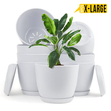 Enhance Your Space with Fast Forward Extra Large Plant Pots – Perfect Home Decor for Indoor and Outdoor Planters with Drainage - Explore Multi-Packs of Plastic Planters for Cactus and Succulents in Six Vibrant Colors Fast Forward